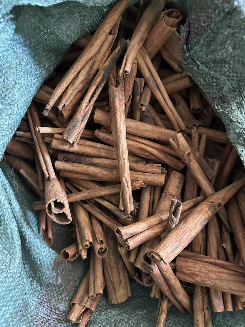 桂皮