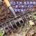耙子农用松土平地工具搂草园艺铁耙子刨地多功能九齿钉耙