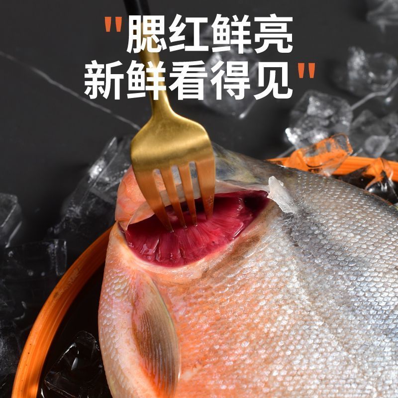 【包邮】大鲳鱼新鲜红鲳鱼鲜活整箱批发冷冻鱼冰鲜大号鱼