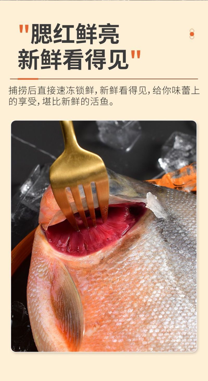 【包邮】大鲳鱼新鲜红鲳鱼鲜活整箱批发冷冻鱼冰鲜大号鱼