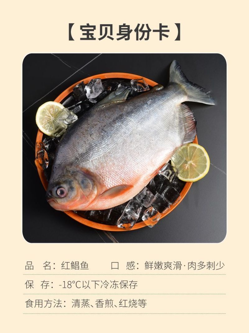 【包邮】大鲳鱼新鲜红鲳鱼鲜活整箱批发冷冻鱼冰鲜大号鱼