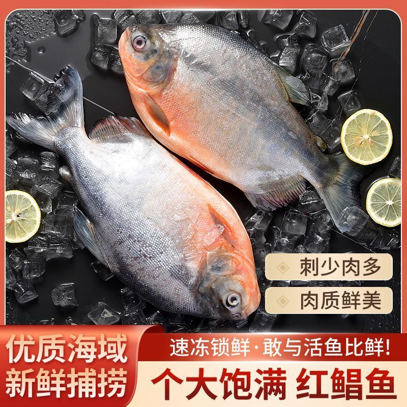 【包邮】大鲳鱼新鲜红鲳鱼鲜活整箱批发冷冻鱼冰鲜大号鱼