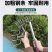 花生抓钩加厚农用锰钢多齿耙子三齿四齿钢耙家用除草翻地