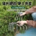 花生抓钩加厚农用锰钢多齿耙子三齿四齿钢耙家用除草翻地