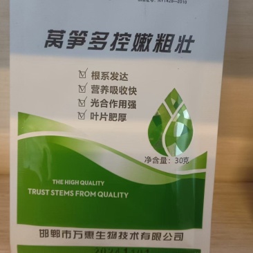 莴笋多控嫩粗壮根系发达微量元素营养吸收快光合作用强叶片肥