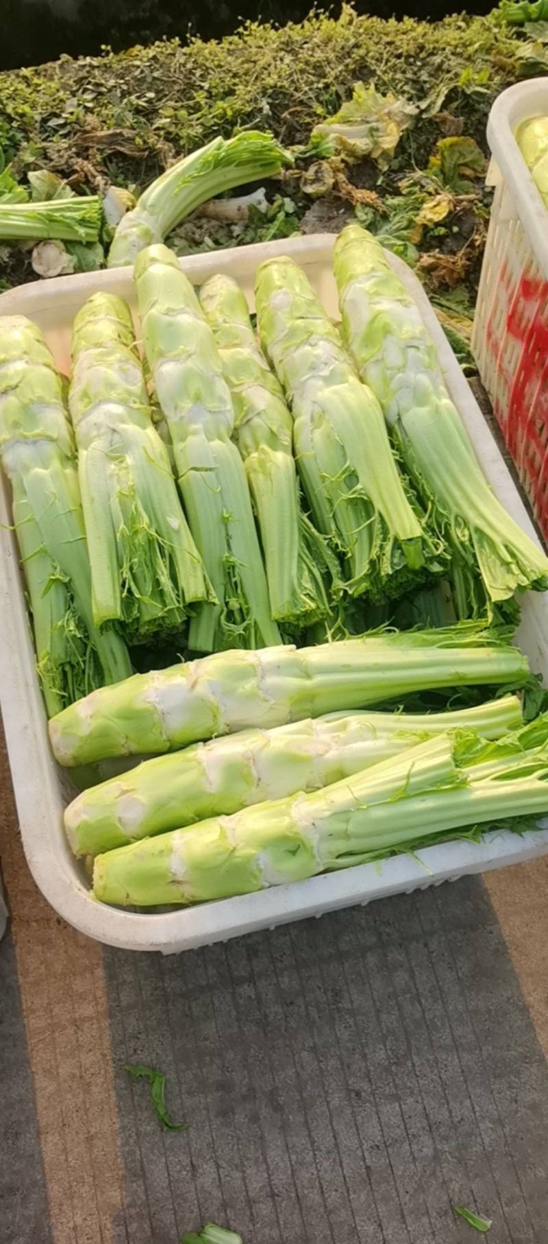 棒棒菜