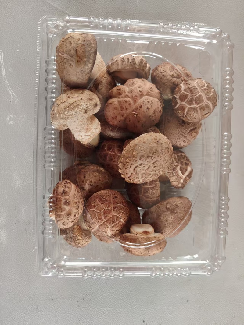 精品菌菇香菇货源充足量大从优诚信经营质量保证欢迎咨询