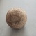 精品菌菇香菇货源充足量大从优诚信经营质量保证欢迎咨询