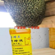 蜜蜂快速繁蜂液全国发货可批发可零售可视频看货