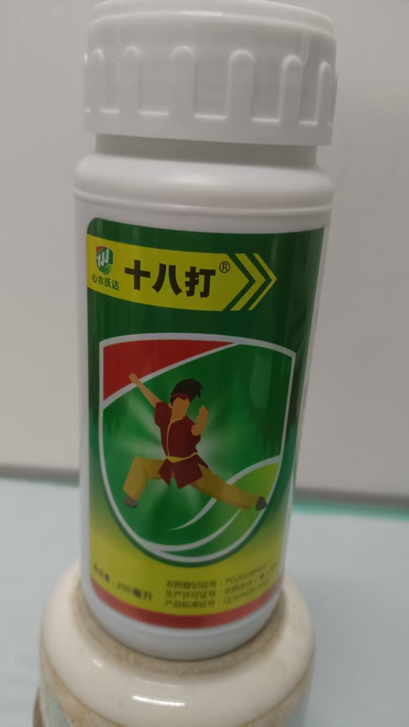黑蚜黄蚜效果看得见阿维·啶虫脒12.5%啶虫脒10%