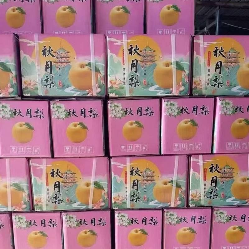 秋月梨礼盒，电商团购5-6元每件产地直发品质保障欢迎采购