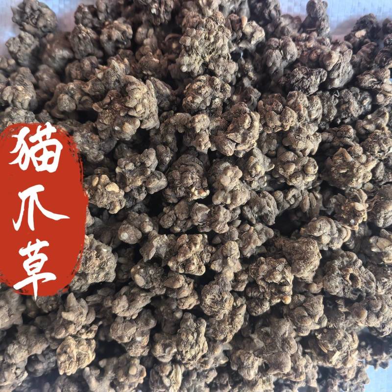猫爪草中药材猫爪草新货东弘药业一手货源现货供应