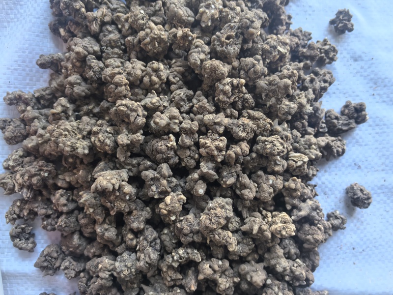 猫爪草中药材猫爪草新货东弘药业一手货源现货供应