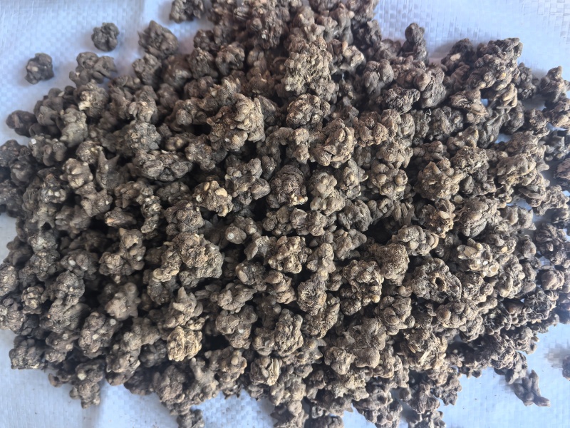 猫爪草中药材猫爪草新货东弘药业一手货源现货供应