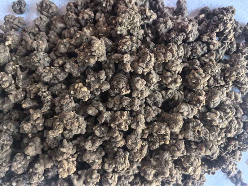 猫爪草中药材猫爪草新货东弘药业一手货源现货供应
