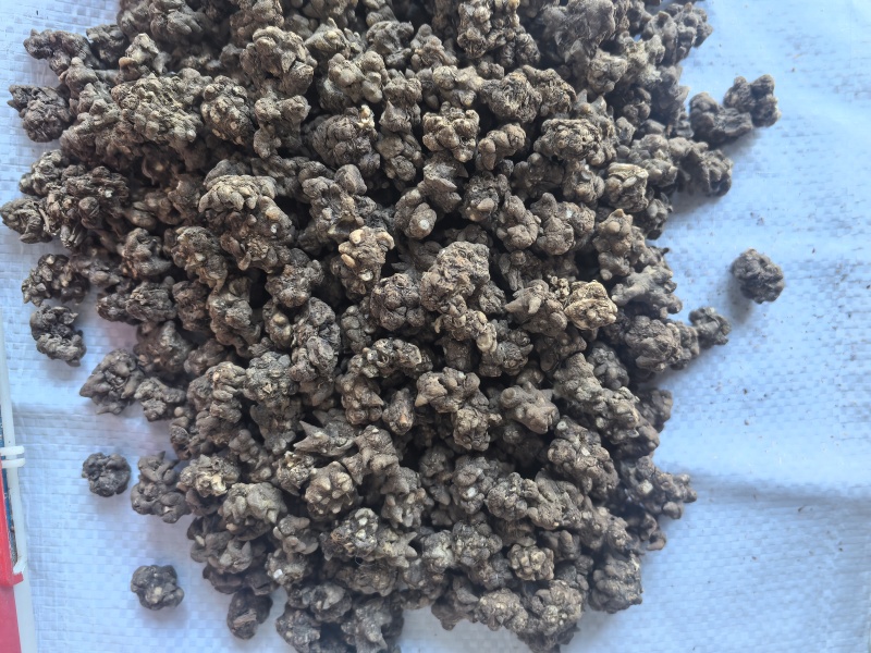 猫爪草中药材猫爪草新货东弘药业一手货源现货供应