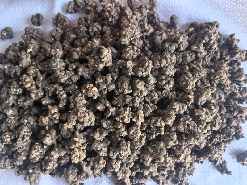猫爪草中药材猫爪草新货东弘药业一手货源现货供应