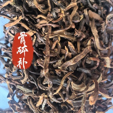 骨碎补毛姜中药材骨碎补毛姜东弘药材一手货源现货供应