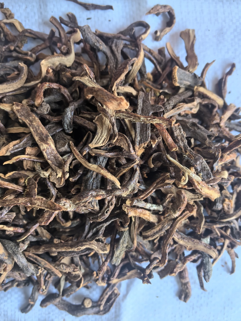 骨碎补毛姜中药材骨碎补毛姜东弘药材一手货源现货供应