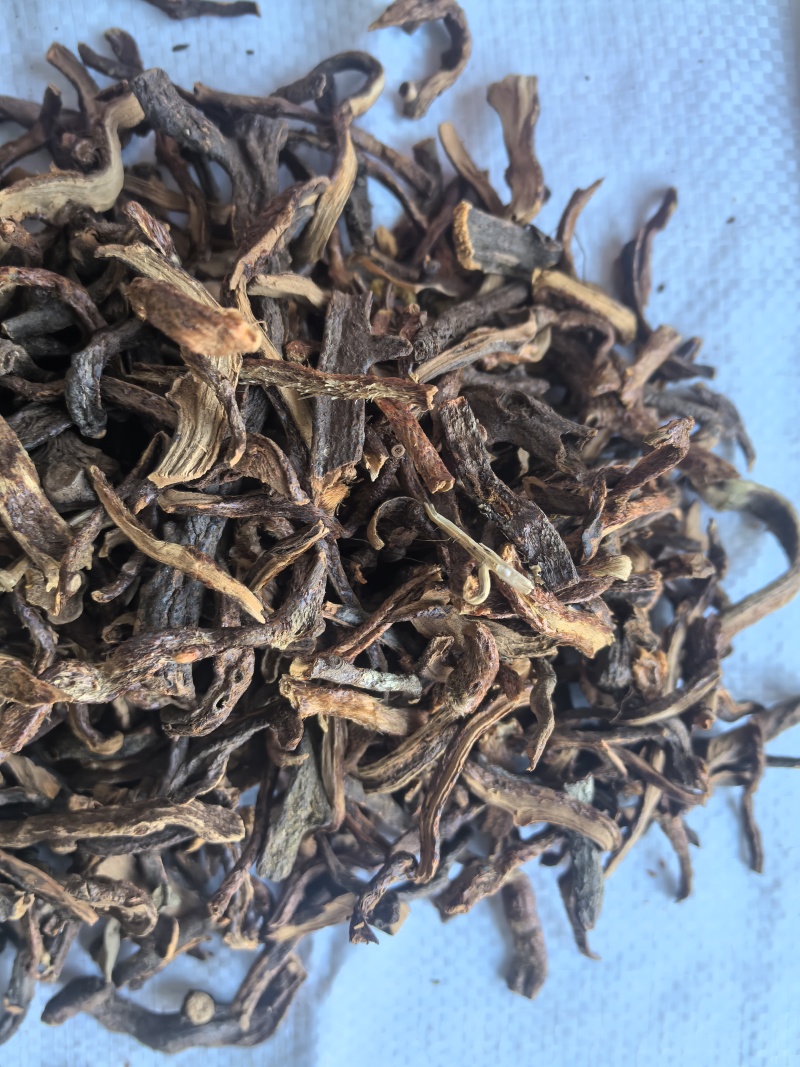 骨碎补毛姜中药材骨碎补毛姜东弘药材一手货源现货供应