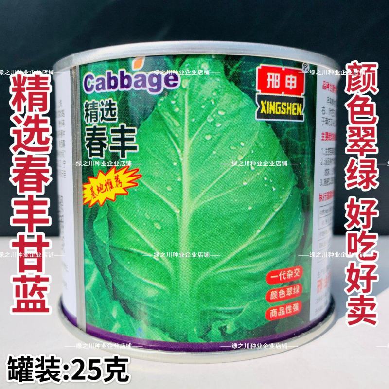 精选春丰甘蓝种子早熟春甘蓝牛心菜种籽甘兰菜耐寒卷心菜种籽