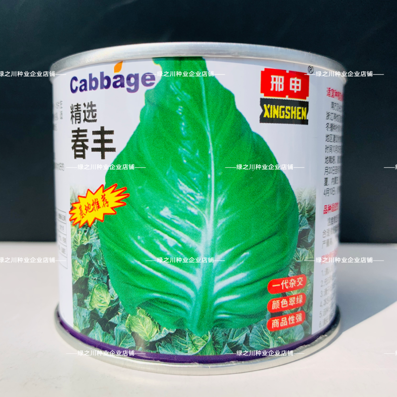精选春丰甘蓝种子早熟春甘蓝牛心菜种籽甘兰菜耐寒卷心菜种籽