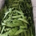 广西荷兰豆源头基地直供，量大价优，长期合作，全国可发货
