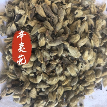 辛夷花中药材辛夷花辛夷毛桃东弘药材一手货源现货供应