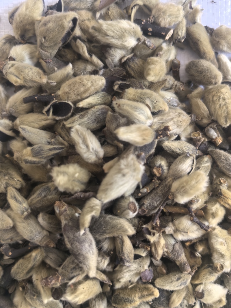 辛夷花中药材辛夷花辛夷毛桃东弘药材一手货源现货供应