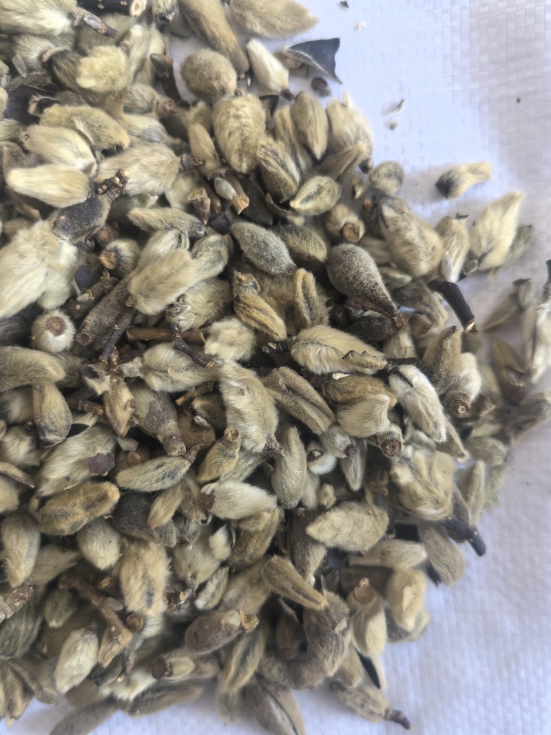 辛夷花中药材辛夷花辛夷毛桃东弘药材一手货源现货供应