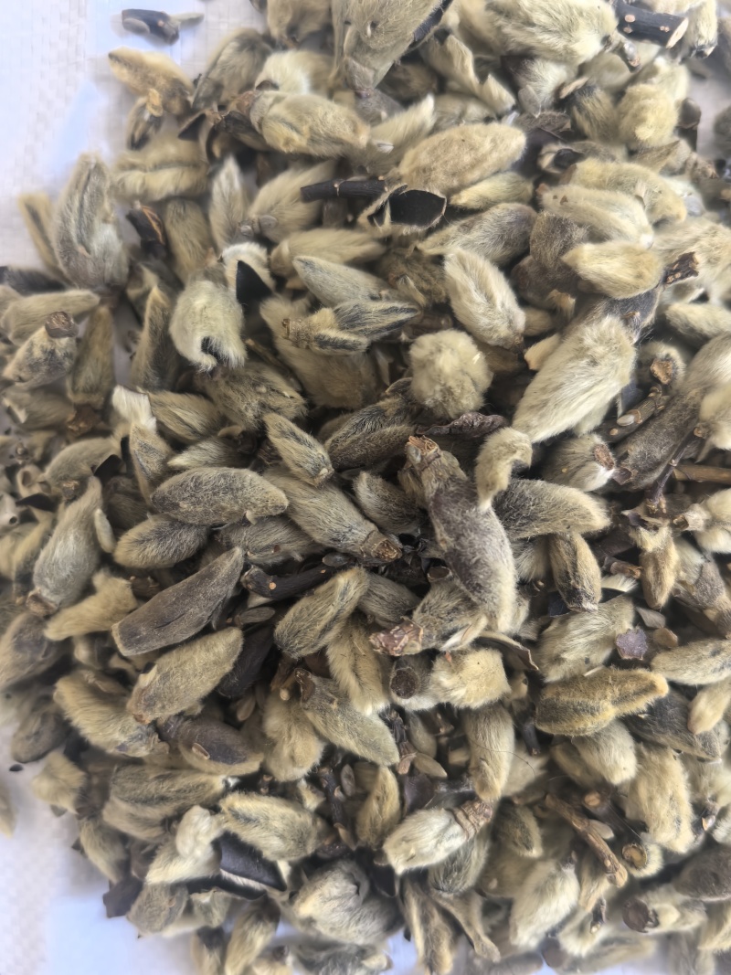 辛夷花中药材辛夷花辛夷毛桃东弘药材一手货源现货供应
