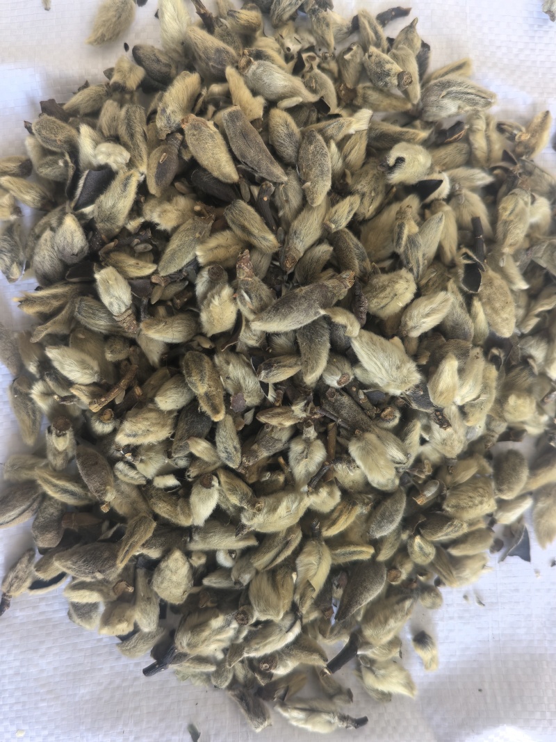 辛夷花中药材辛夷花辛夷毛桃东弘药材一手货源现货供应