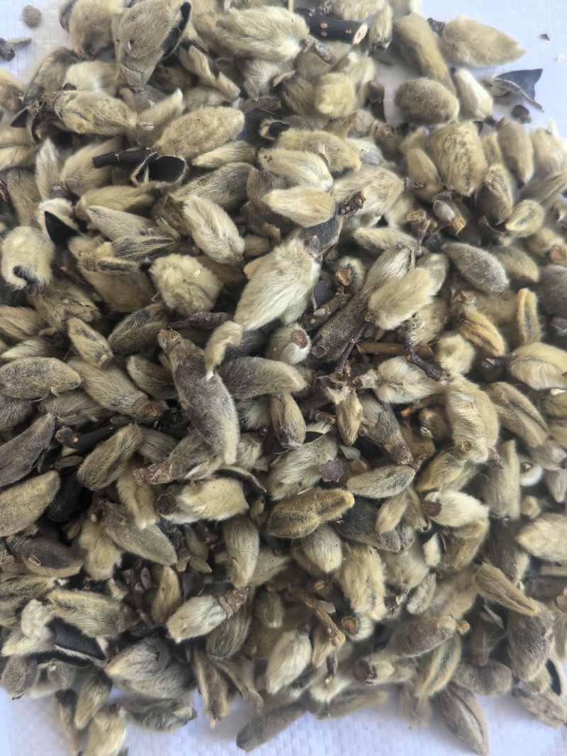 辛夷花中药材辛夷花辛夷毛桃东弘药材一手货源现货供应