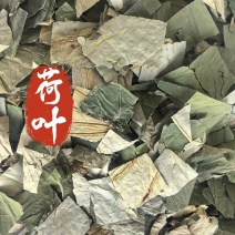 荷叶中药材荷叶荷叶方块东弘药材一手货源现货供应