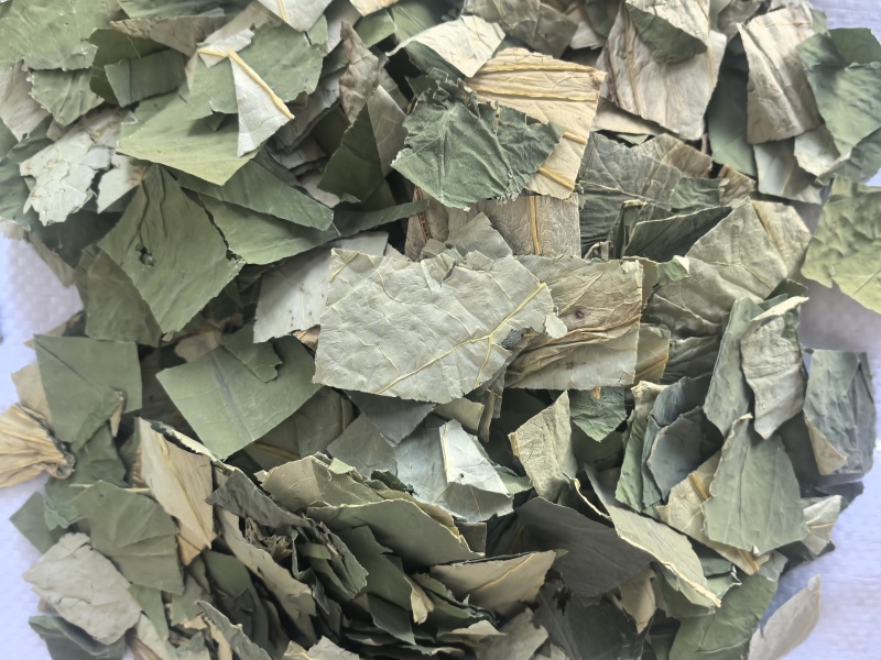 荷叶中药材荷叶荷叶方块东弘药材一手货源现货供应