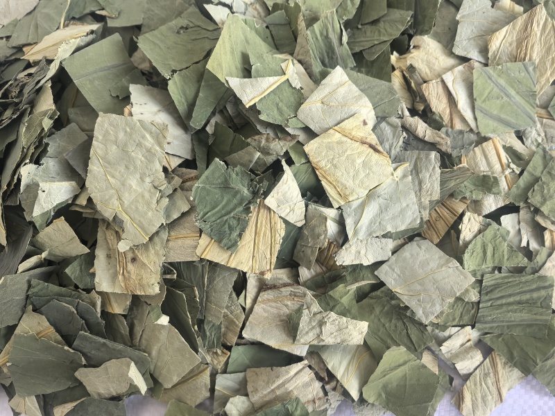 荷叶中药材荷叶荷叶方块东弘药材一手货源现货供应