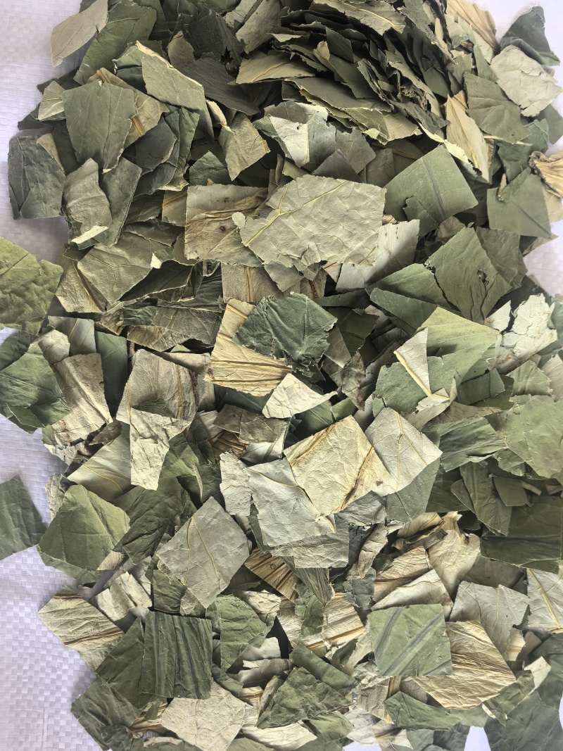 荷叶中药材荷叶荷叶方块东弘药材一手货源现货供应