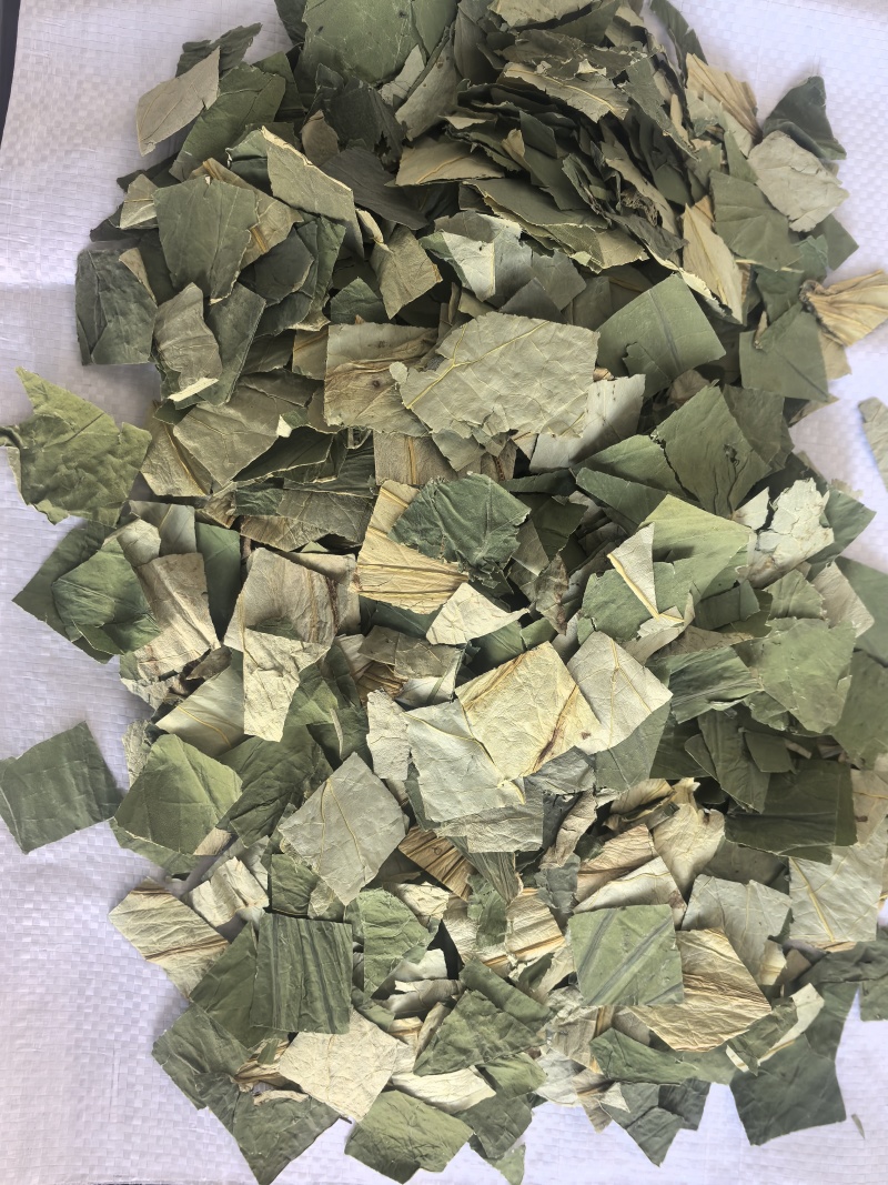 荷叶中药材荷叶荷叶方块东弘药材一手货源现货供应