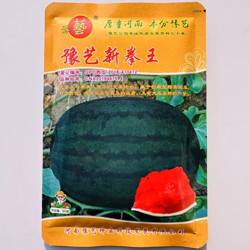 豫艺新拳王西瓜种子龙卷风黑美人大果高产抗重茬黑绿皮西瓜种