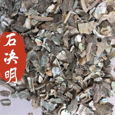石决明中药材矿石石决明东弘药材一手货源现货供应