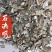 石决明中药材矿石石决明东弘药材一手货源现货供应