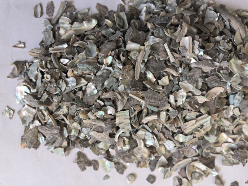石决明中药材矿石石决明东弘药材一手货源现货供应