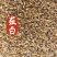 薤白中药材薤白新货东弘药材一手货源现货供应