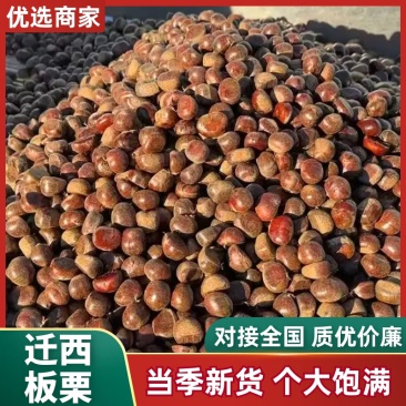 【热卖】正宗迁西板栗产地直发规格齐全软糯香甜欢迎电联