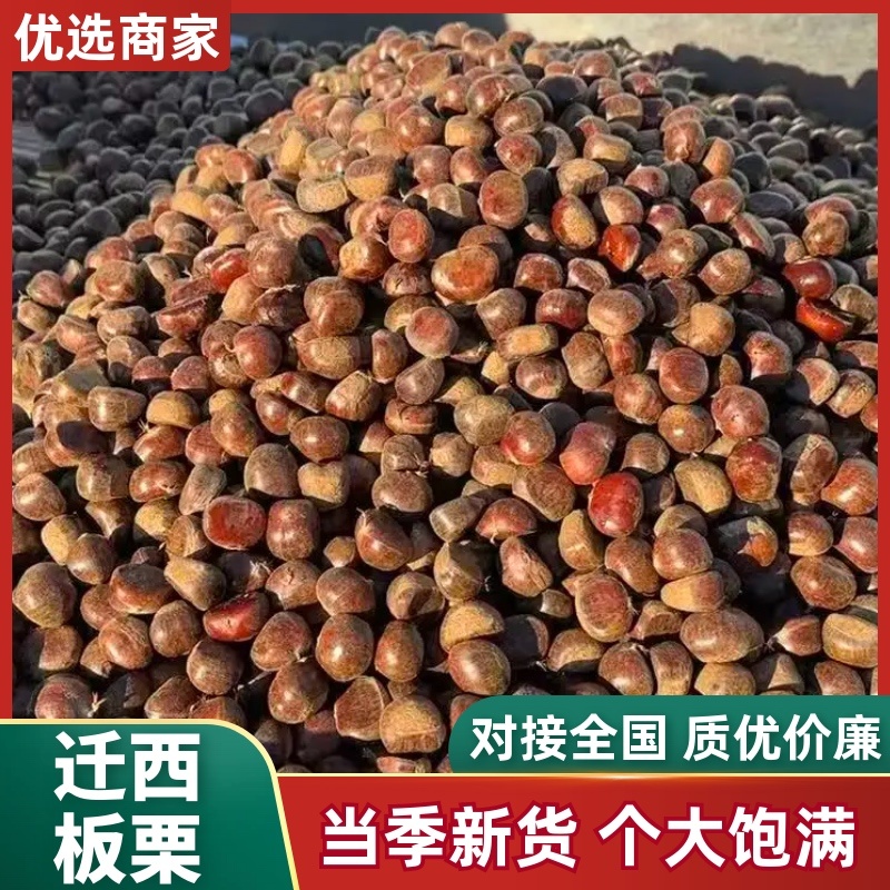 【热卖】正宗迁西板栗产地直发规格齐全软糯香甜欢迎电联
