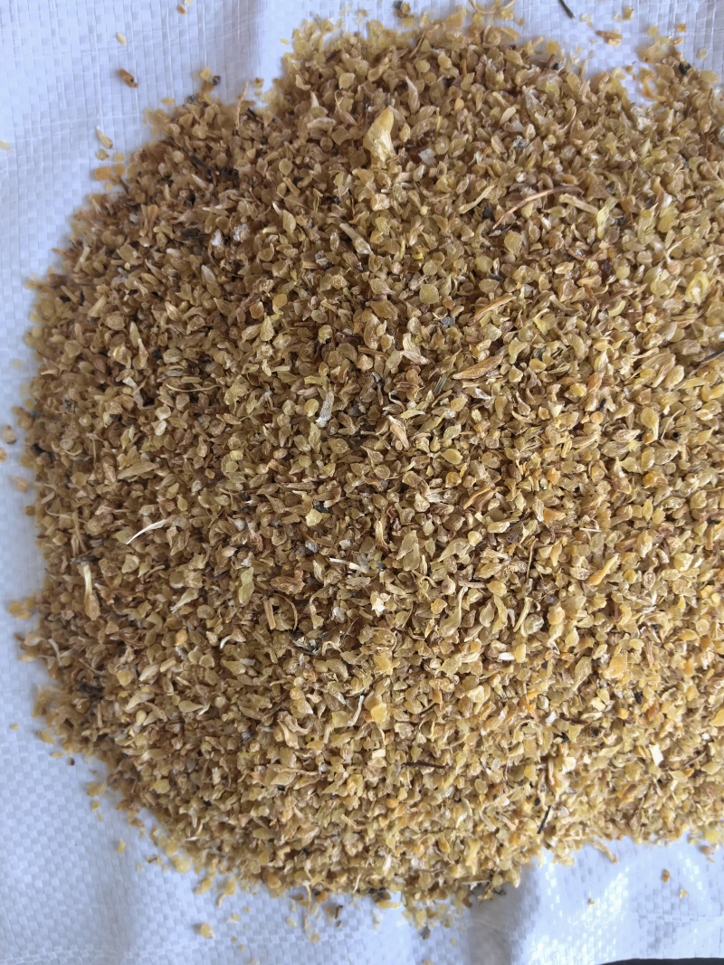 薤白中药材薤白新货东弘药材一手货源现货供应