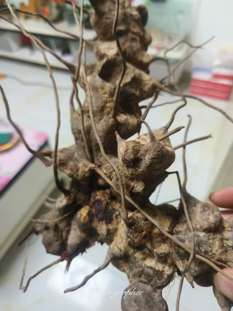 金刚藤药材品质优新货可视频看货欢迎咨询来电