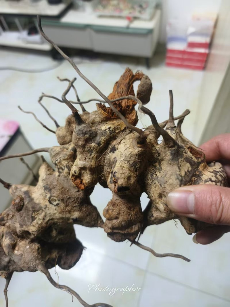 金刚藤药材品质优新货可视频看货欢迎咨询来电