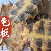 龟板中药材龟板新货东弘药材一手货源现货供应