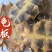 龟板中药材龟板新货东弘药材一手货源现货供应